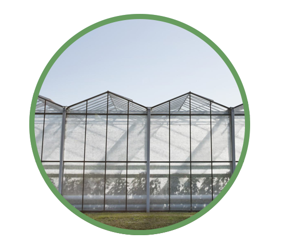greenhouse in a green circle